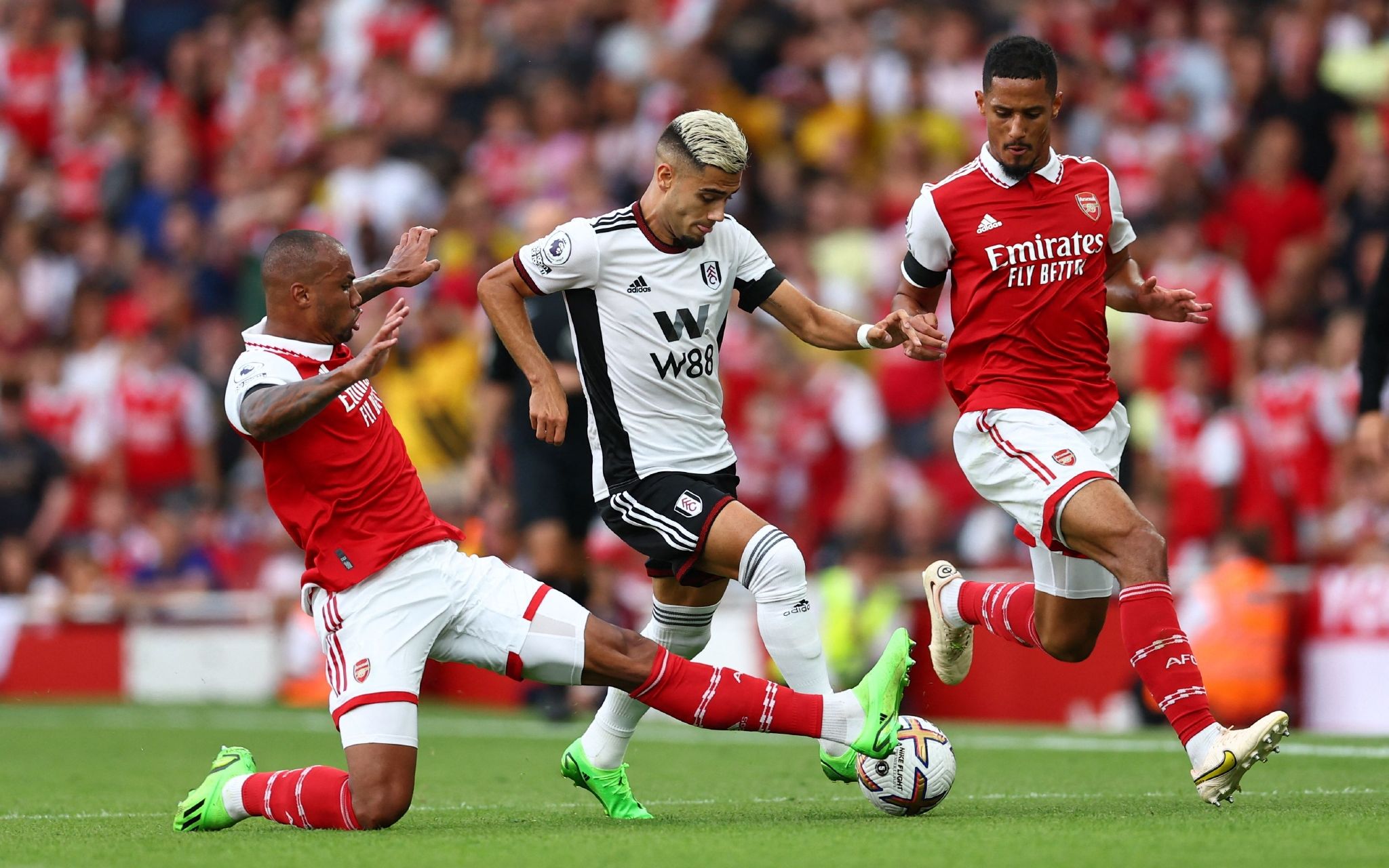 报道版本 报道版本